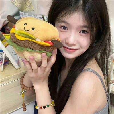 圣诞铁粉